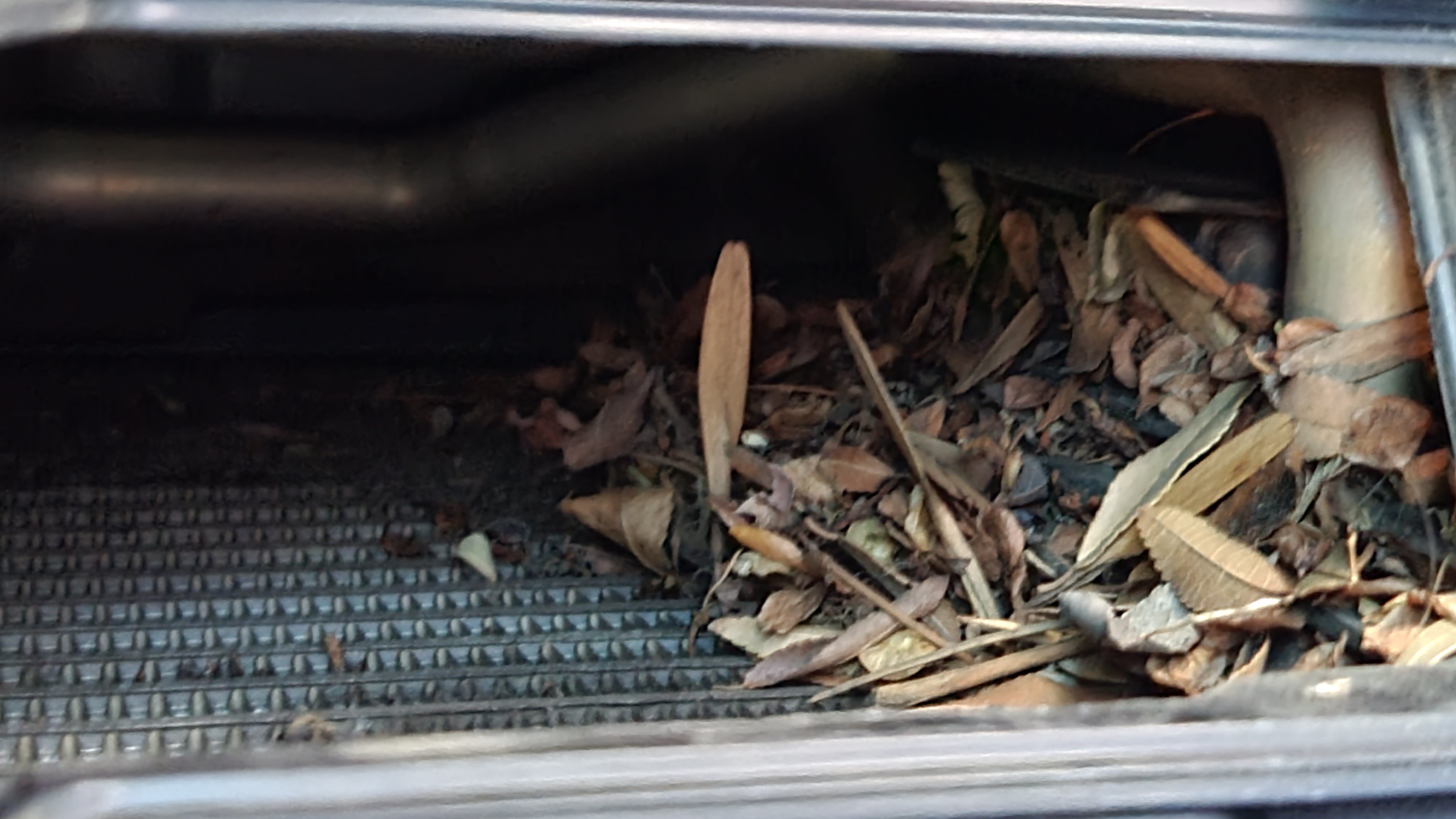 When was the last time you changed your cabin air filter? - Auto
